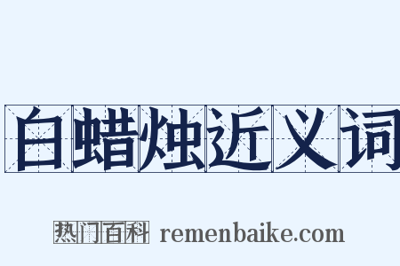 白蜡烛近义词是什么意思的图片